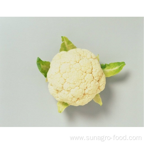 Bulk Organic Frozen Cauliflower